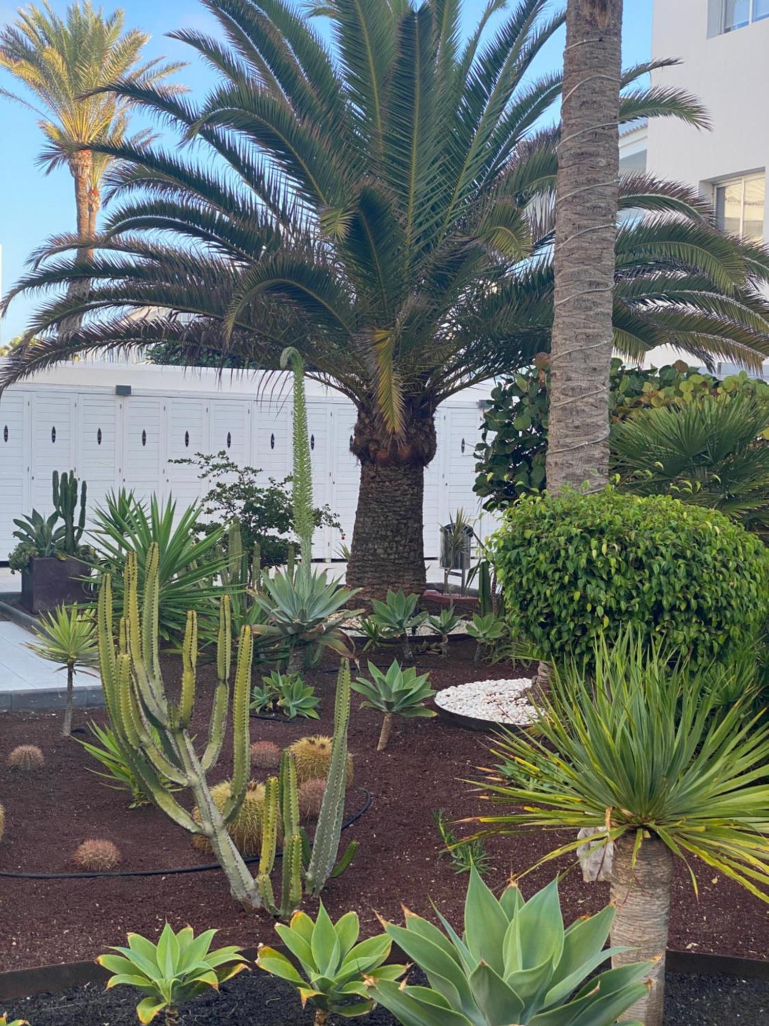 Sun And Surf Stay Corralejo Exterior photo